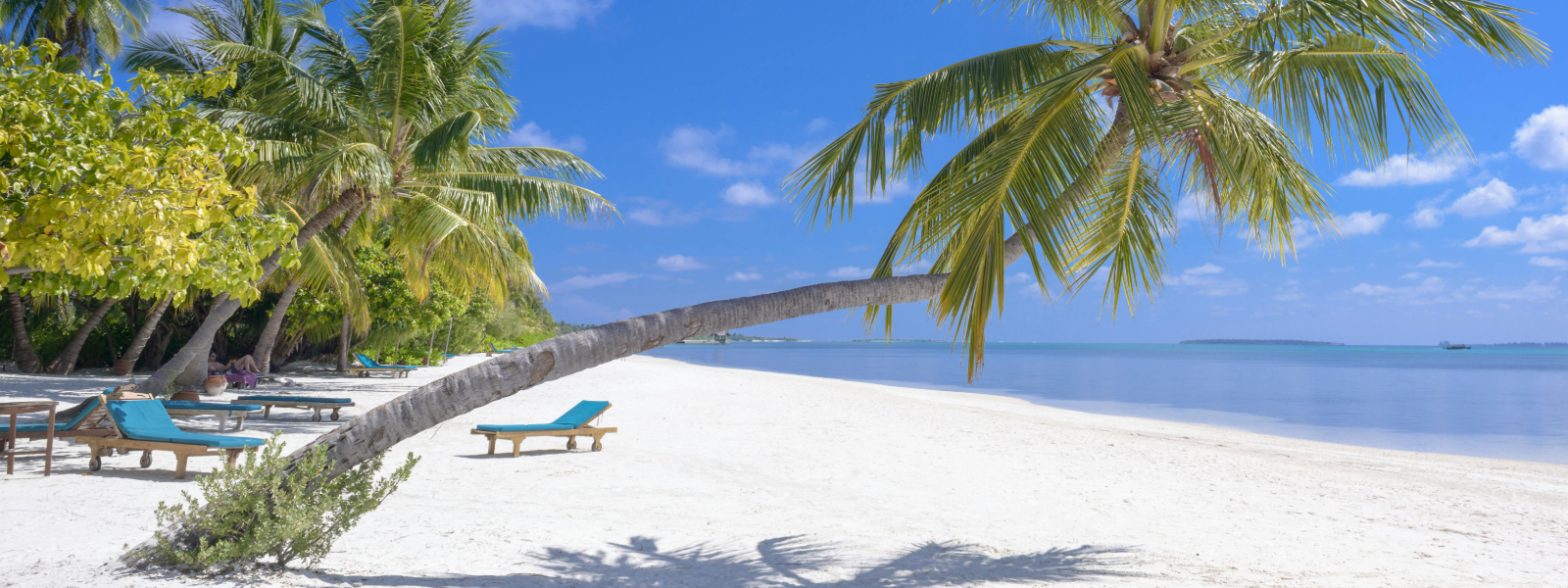 Sunset Beach